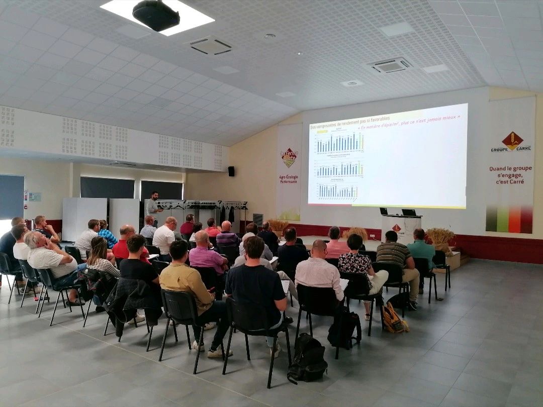 Passant de 135 €/t en 2022 à 172 €/t en 2023, le coût de production du #blé chez les 45 agriculteurs qui ont participé à l’étude « Expert céréales » du Groupe Carré a fortement augmenté. Les résultats complets de l'étude ⤵️ 
agrodistribution.fr/actualites-ter…