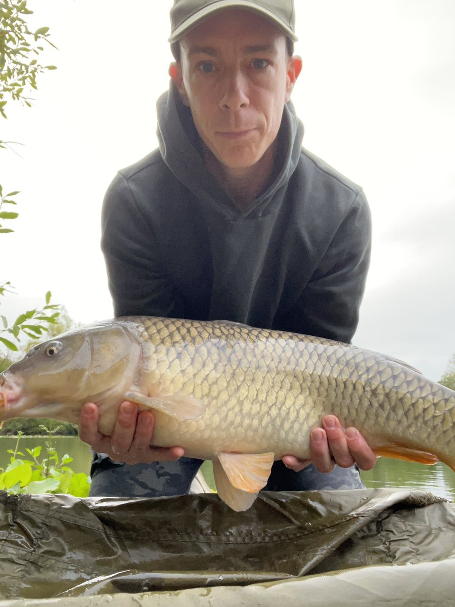 12lb 7oz Common Carp caught at 7:20am today on 12mm Sticky Manilla boilie. #ApexAngling #carpography #Carp #carpfishing #TightLines #CatchAndRelease #Angling #Fishing #AnglingLife #FishingLife
