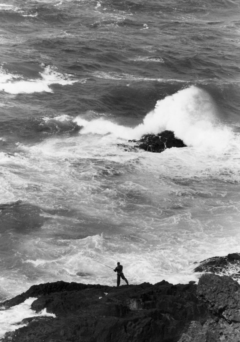 KURO　－写真好き－ tweet media