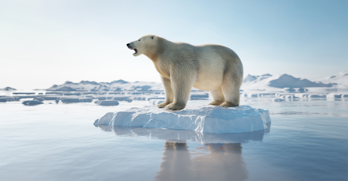 If you need ideas on how to reduce your lab's carbon footprint, check out our new “Supporting Sustainability” web page. Together, we can work towards more #SustainableScience practices. 

#lifesciences #sustainability #carbonreduction, <a href="/mygreenlab/">mygreenlab</a> 

go.biolifesolutions.com/sustainability