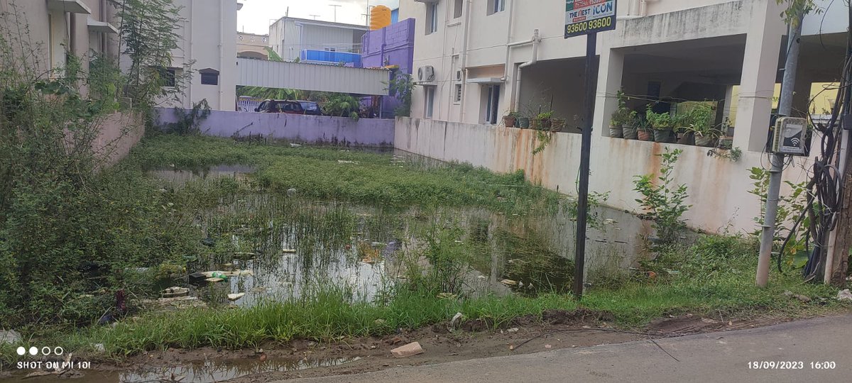 samsondanielk's tweet photo. Hi,
I am Samson Daniel, resident of Medavakkam (Tambaram taluk).
I am tweeting this to fetch the authority's kind attention regarding the problem of stagnant rainwater in the empty plots on both sides of our apartment
@Subramanian_ma @chennaicorp @CMOTamilnadu #dengu #malayria https://t.co/8KgKp7YDYE