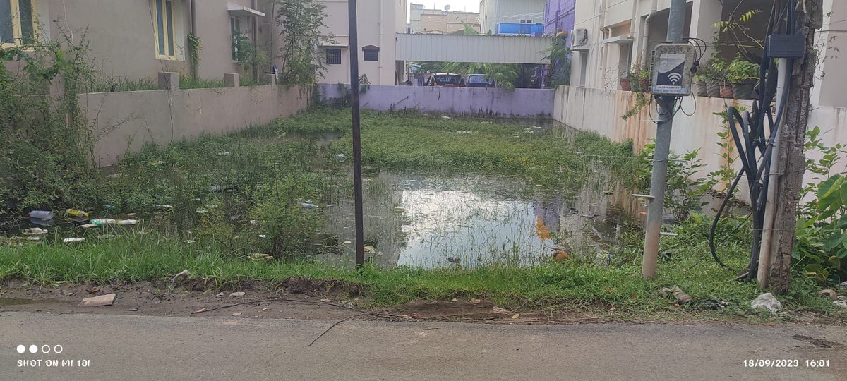 samsondanielk's tweet photo. Hi,
I am Samson Daniel, resident of Medavakkam (Tambaram taluk).
I am tweeting this to fetch the authority's kind attention regarding the problem of stagnant rainwater in the empty plots on both sides of our apartment
@Subramanian_ma @chennaicorp @CMOTamilnadu #dengu #malayria https://t.co/8KgKp7YDYE