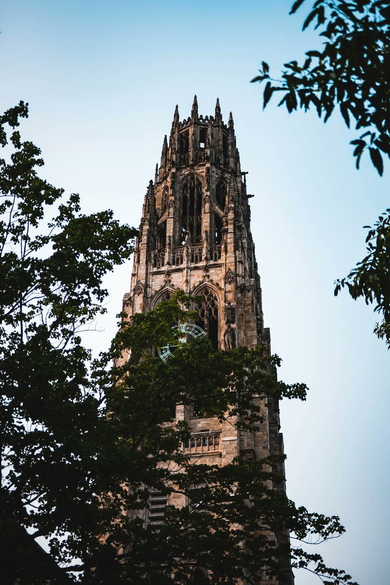 Excited to reconnect with fellow Yale alums later this week at the Yale Alumni Association board meeting. Embracing the continuous journey of learning and collaboration. #YaleAlumni #TechAndAcademia