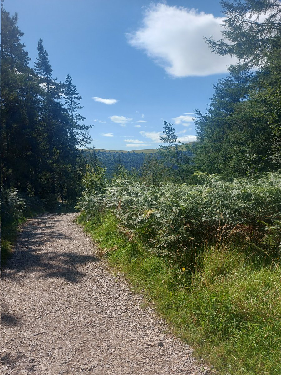 PerffaithSimmer's tweet image. Hi all and welcome to my page 🫶🏽 If you want to follow, here's some of my interests: 

🍃Animal Crossing 
💚Sims 4 
🧸Squishmallows 
☕️Coffee (&amp;amp; croissants 🥐) 
📚Books
🥾Walking 
🌳Nature 
📽Disney/Pixar movies
🐶Dogs 
🇪🇸Learning Spanish

Thank you and have a lovely day! 🥰