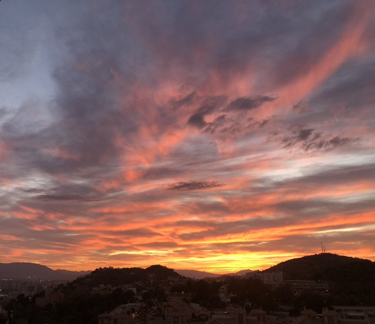 charirivera8's tweet photo. @nanyfotografia @ame_asociacion @RAM_meteo @MeteoredES @malaga @Malagaconacento @OrgullodeMalaga @serdemalaga @malagademuseos @diputacionMLG @muelleuno Yo también lo capté 
Fue bien  bonito 😍 https://t.co/NoJtbar6It