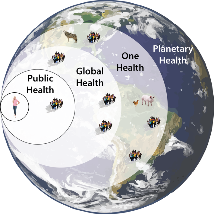Este es el nuevo paradigma: #PlanetaryHealth #SaludPlanetaria
Planetary Health se refiere a 'la salud de la civilización humana y el estado de los sistemas naturales de los que depende'
X Encuentro #REUPS
🚩 Illa Llazeret @Escoladesalut