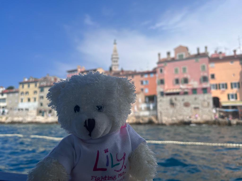 cam_mito's tweet photo. Spotty the @4Lilyfoundation #shareabear even took to the high seas to spread the word about #WorldMitochondrialDiseaseWeek @MRC_MBU @HorvathLab @MYTiet @LankanMiller @Jellevda @CamNeuro https://t.co/P3AuZoSstA