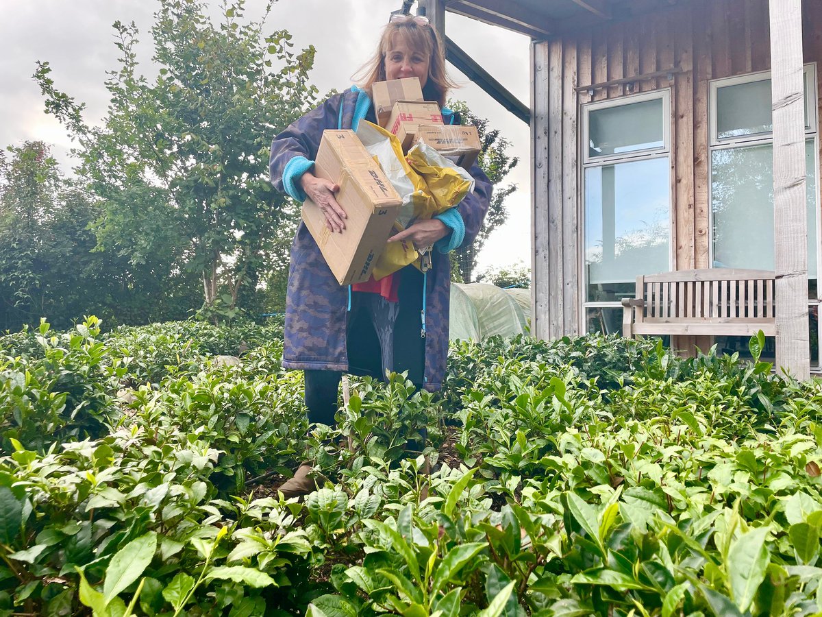 UK Tea Academy (@ukteaacademy) on Twitter photo Thanks to everyone who has sent their tea to us for #TheLeafies2023! We are busy sorting ahead of judging week (2nd-6th Oct).
If your tea is delayed please let us know by contacting jo@teaacademyawards.com
We are so excited to celebrate the world’s finest teas with you! Thanks to everyone who has sent their tea to us for #TheLeafies2023! We are busy sorting ahead of judging week (2nd-6th Oct).
If your tea is delayed please let us know by contacting jo@teaacademyawards.com
We are so excited to celebrate the world’s finest teas with you!