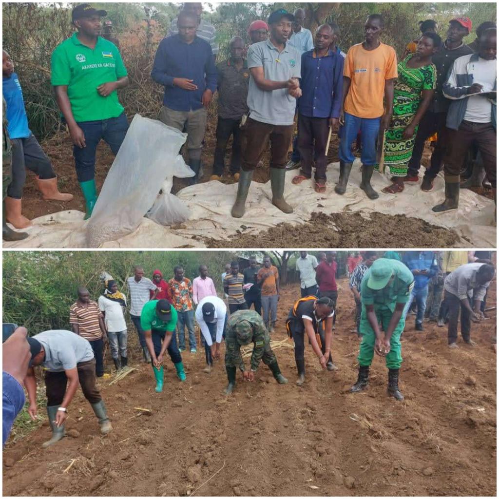 Ku wa 19/9/2023 mu murenge wa Rwimbogo/Gatsibo habereye igikorwa cyo gutangiza kumugaragaro gutera ubwatsi mu gihembwe  cy'umuhingo (season 2024A). Ikigikorwa cyiza kigomba  gukomeza muturere twose. Borozi-bahinzi rwose mwitabire gutera ubwatsi cyane ko musabwa kororera mubiraro.