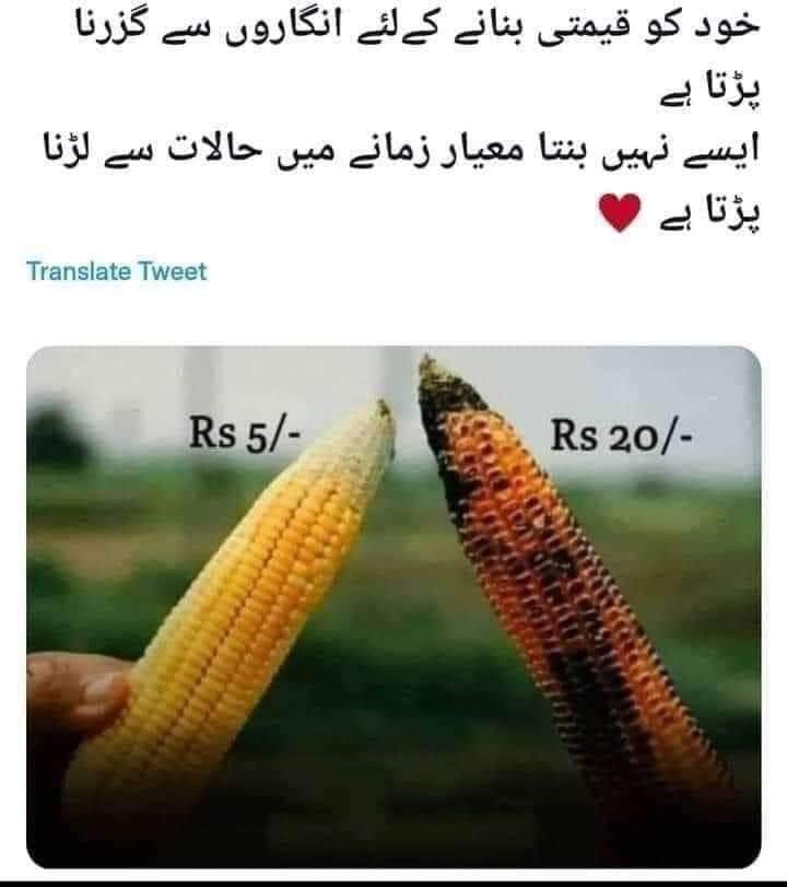 Imtiaz (@Imtiaz22387175) / Posts / X