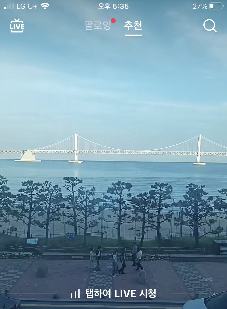 사실 그짓부렁이야