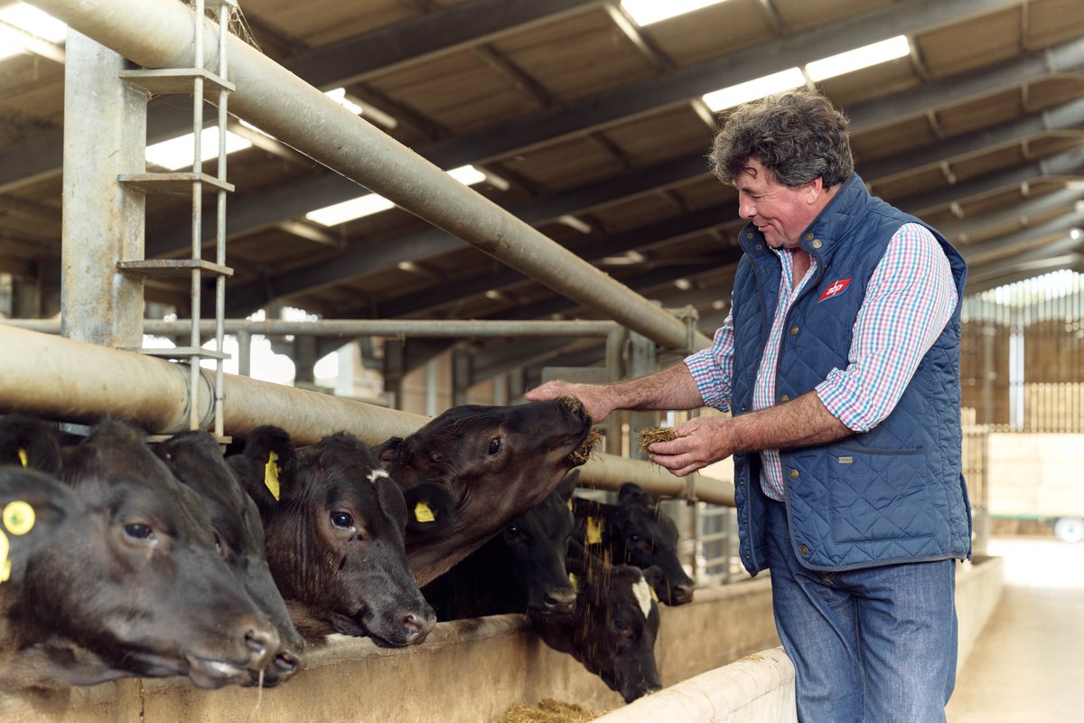 Sainsbury's News tweet media