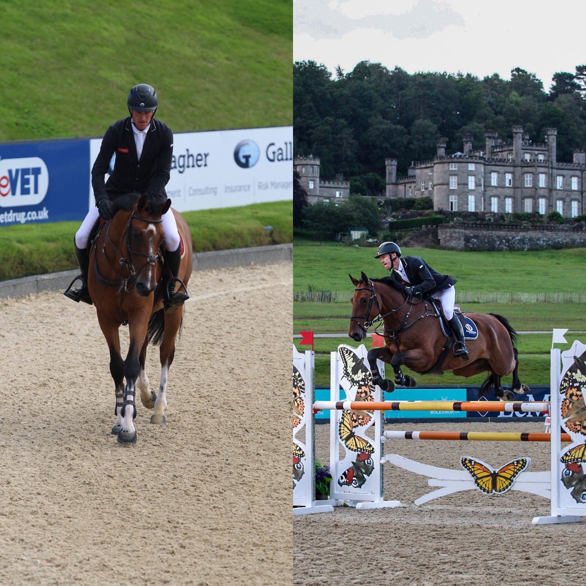 Looking forward to the World Breeding Championships for young horses in Lanaken, Belgium this week.We have our own and John Whitakers Chicago in the 6 yr olds &amp; Neil Fiddes Lancaster in the 7 yr olds 🇧🇪📸<a href="/camillabingham/">Camilla Bingham</a> #lanaken #belgium #2023 #worldbreedingchampionships #fei