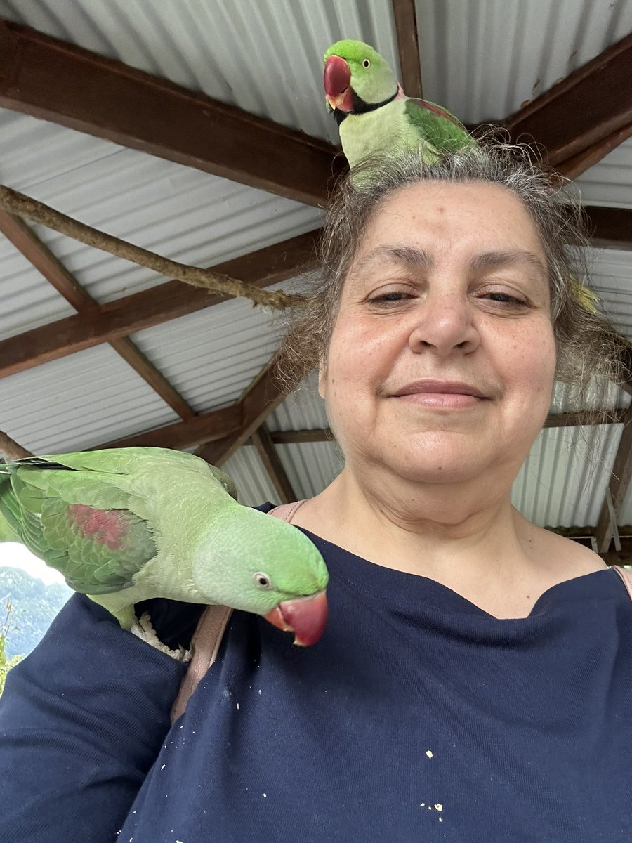 Be like the bird who, pausing in her flight awhile on boughs too slight, feels them give way beneath her, and yet sings, knowing she hath wings. -Victor Hugo

#POstables

Birdworld - Kuranda Australia.
Loved this experience so much.
