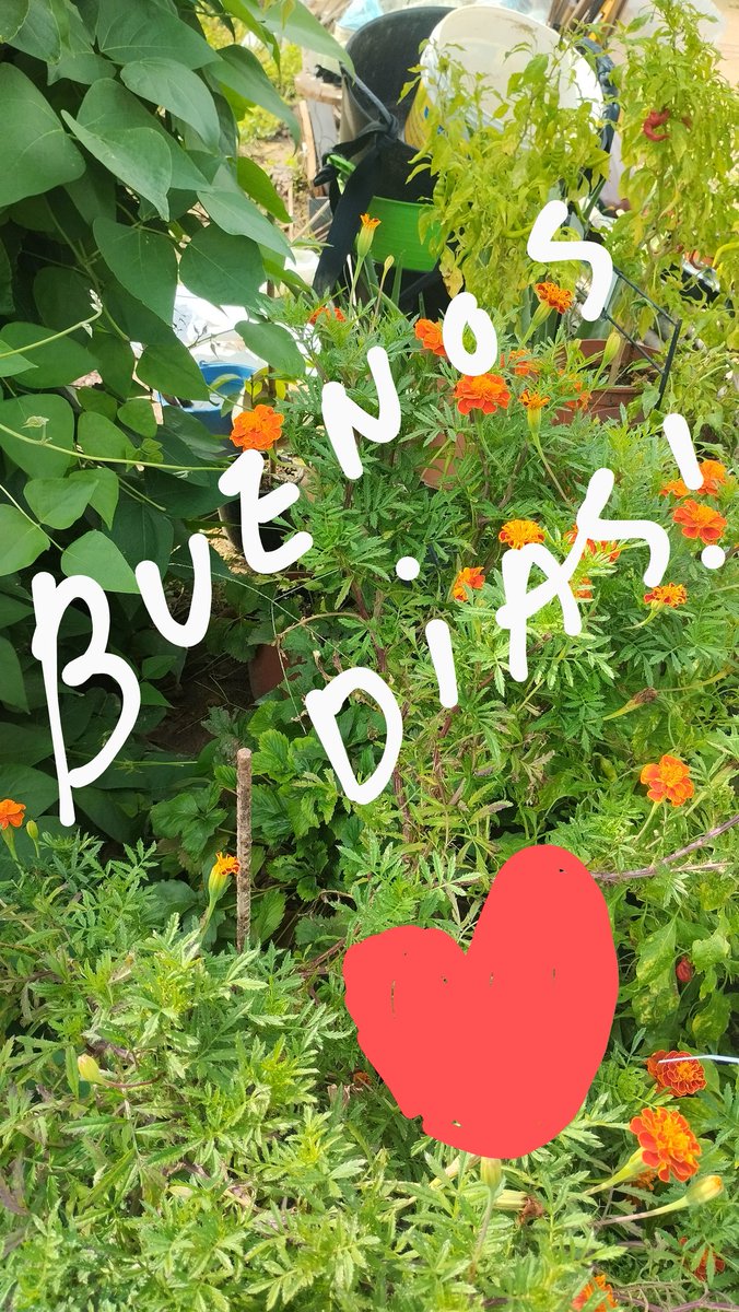 VidaEquilibrada (@vidaequilibrad4) on Twitter photo 