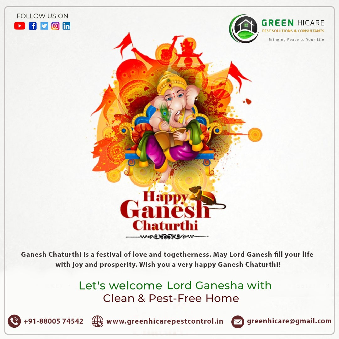 HAPPY GANESH CHATURTHI
Visit Us:- lnkd.in/dfUDTQsK
Mail Us:- greenhicare@gmail.com
Contact Us:- +91-088005 74542
#ganpati #bappa #ganpatibappamorya #mumbai #morya #ganesha #maharashtra #ganesh #ganpatibappa #bappamorya #ganeshchaturthi #india #ganpatifestival #bappamajha