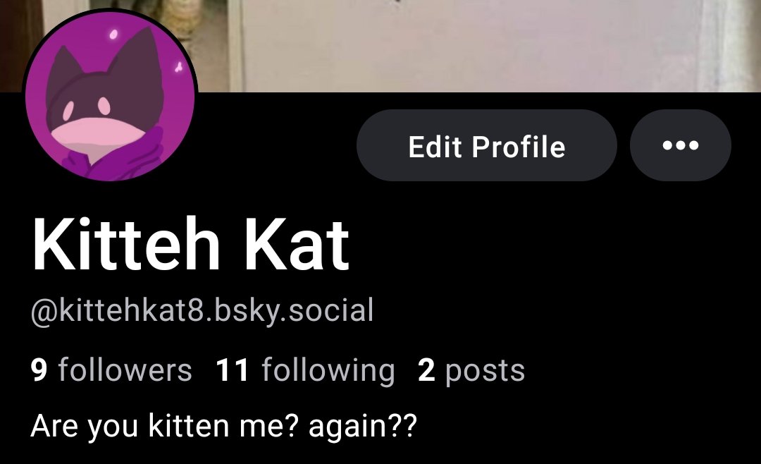 Kitteh Kat tweet media