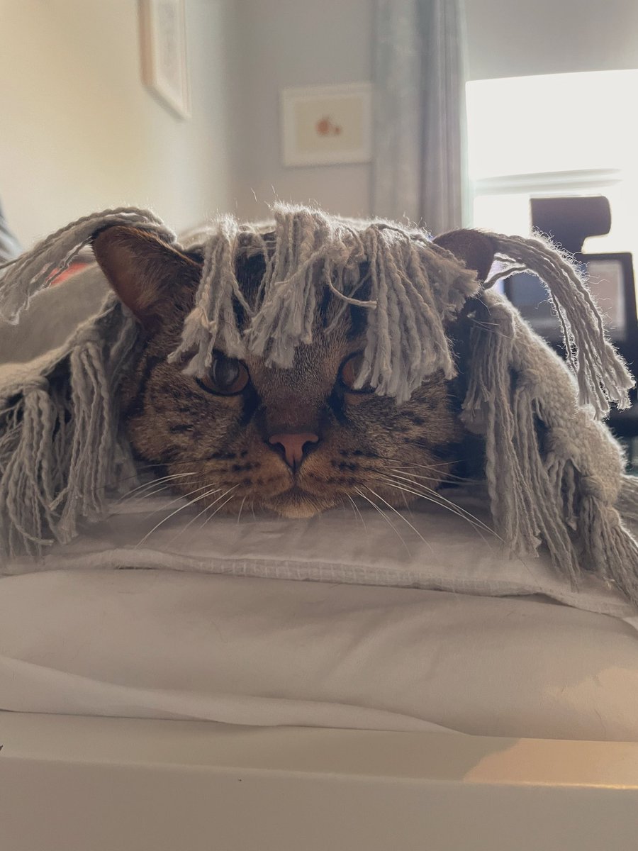 ErnieBernieBlue's tweet photo. Where did the sun go?! https://t.co/mShGjtZBot