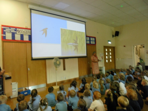 Homes for Swifts
Sarah Relf from the Manda Slater Memorial Fund came into school and ran two assemblies for the children about swifts. We are delighted to be supporting the charity and have two swift nest boxes at the front of the school so look out for the swifts!