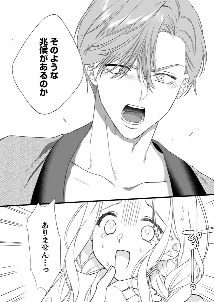 あらすじ】『詰んでる元悪役令嬢はドS王子様から逃げ出したい』 第24