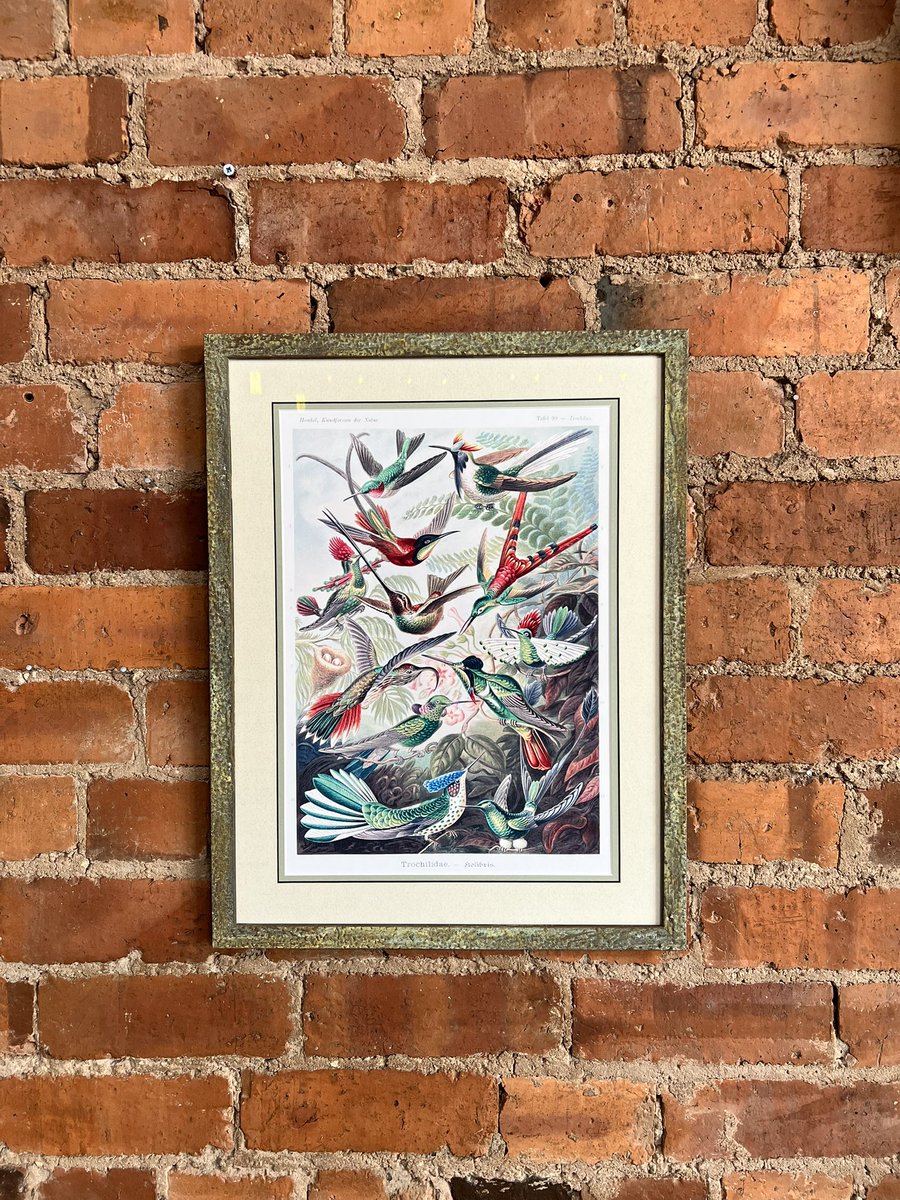 Picture framing from In2Frames Picture Framing Chesterfield