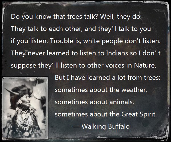 WelcomeNative's tweet image. Do you know that trees talk? — Walking Buffalo [Tatanga Mani] Stoney Indian, Canada (1871-1967)
#NativeAmerican #NativeTwitter #NativeVoices
