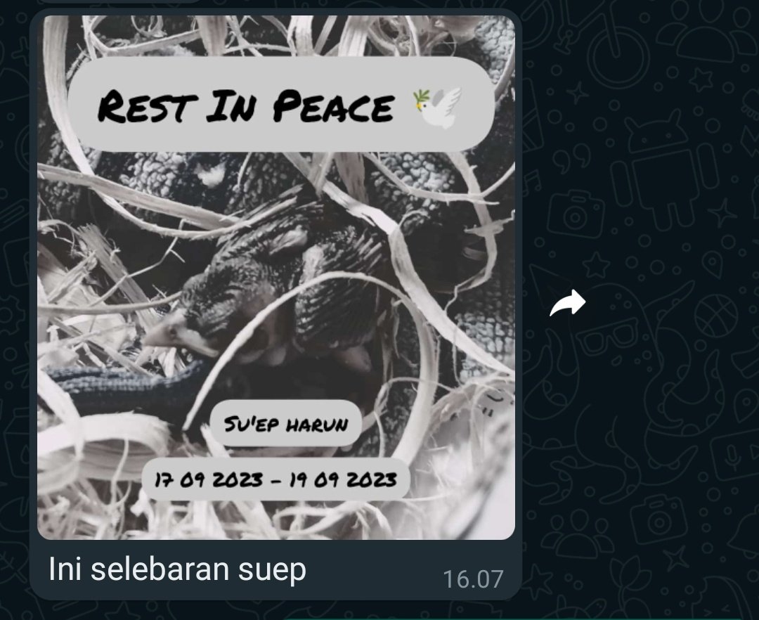 chonkybenk's tweet photo. Rip su'ep https://t.co/hnnYAqzCDk