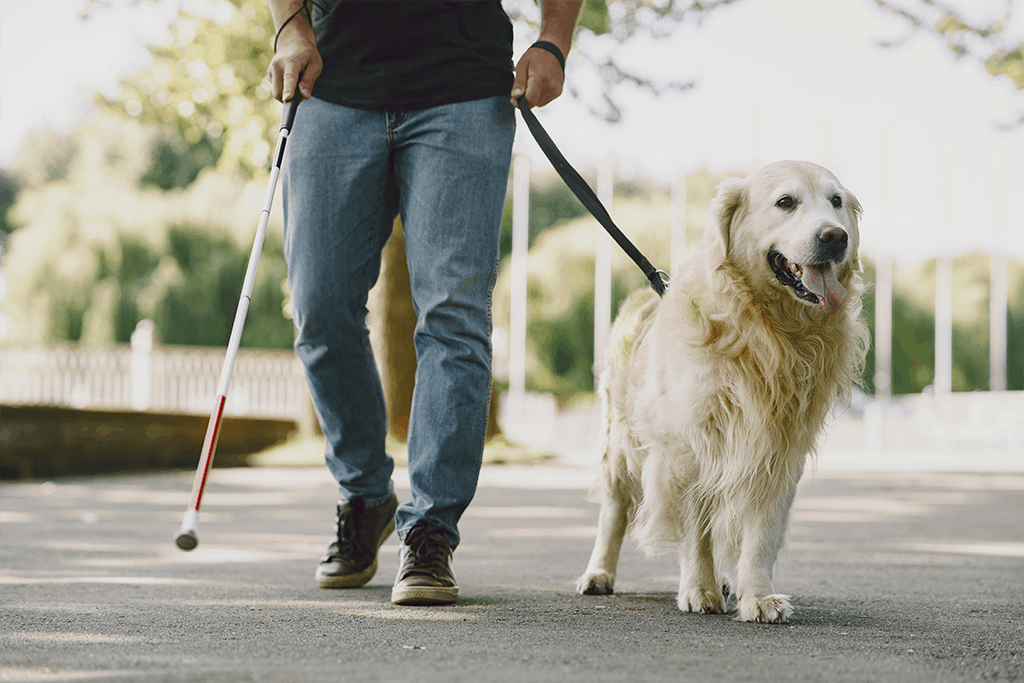 Pets4Good_es's tweet photo. 🐕 #Perros de #asistencia: Sabemos que los perros pueden realizar muchísimas cosas maravillosas, pero ¿conoces lo que hace un perro de asistencia? - Artículo en el #Blog de #Pets4Good - Acciones que dejan huella 🐾

https://t.co/HbyEHp8x7Q https://t.co/XvN4eAw8jL