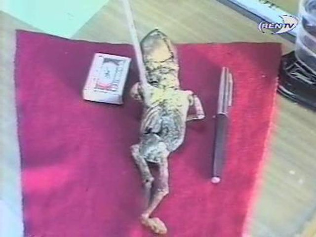 девочки, как часто вы думаете о них?