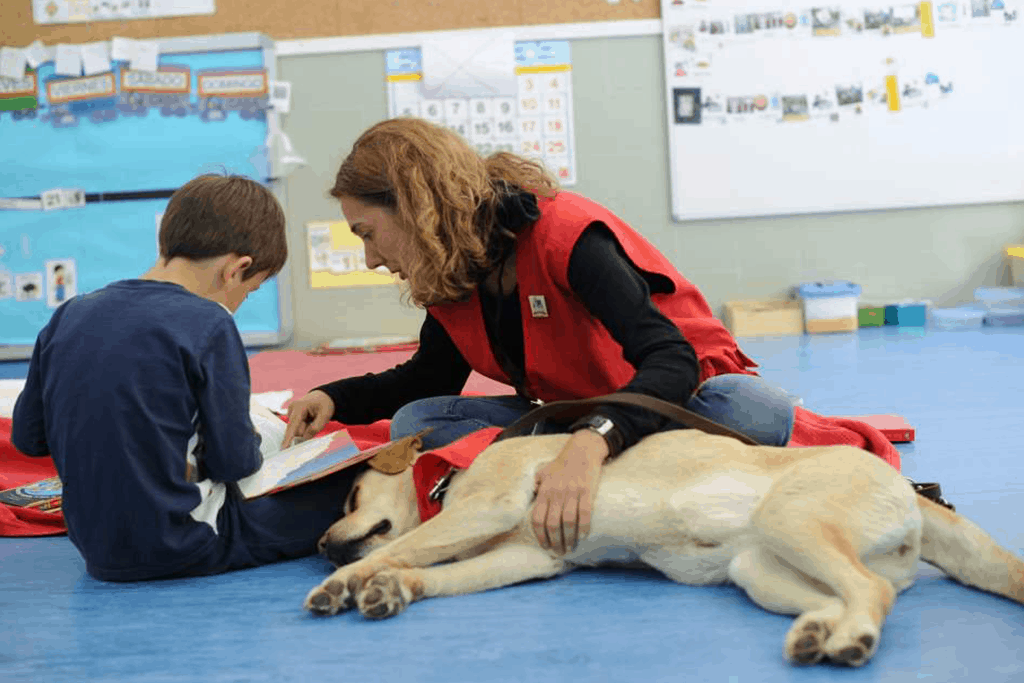 Pets4Good_es's tweet photo. 🐕 #Perros de #terapia: Un perro no solo puede aportarnos compañía y cariño, sus capacidades pueden utilizarse en terapias que favorecen y ayudan en la #salud #emocional y #física - Artículo en el #Blog de #Pets4Good - Acciones que dejan huella 🐾

https://t.co/JXkyri2WTW https://t.co/EoxjOKF83k