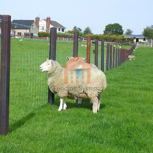 wangxu667886's tweet photo. Choose our cattle fence to provide a safe feeding environment for your cattle. Contact us for more details and a quote.
📲 WhatsAPP:+86 135 8232 7212
💻Web: https://t.co/AnRsrIQ4S1
💻Web: https://t.co/yOnzUaOaGh
#farmfence #pasturefence #livestockfence #securityboundary https://t.co/hTvHPO05SK