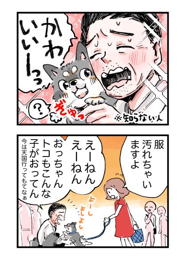 柴犬ふー🐕
こいぬの頃の思い出 