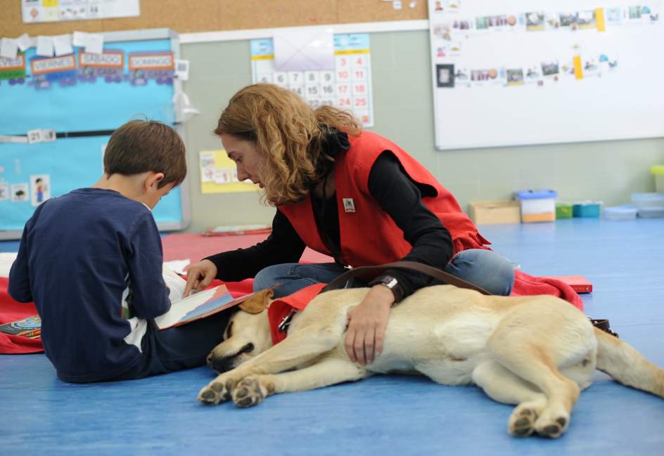 Pets4Good_es's tweet image. Desde #Pets4Good apoyamos a @perrosyletras en la puesta en marcha del proyecto “Mi profe de 4 patas” 🐕 📚, financiando con el 10% de nuestro margen una #sesión semanal con seis niños o niñas del Colegio Público Virgen de la Paz. ¡Conoce el proyecto!

pets4good.es/perros-y-letra…