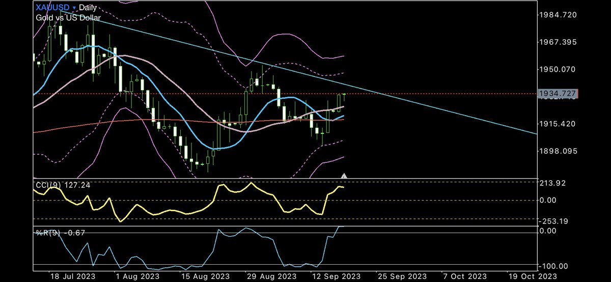 shiji0517's tweet image. ゴールド1941までは覚悟しないといけないのかな😭

gogojungle.co.jp/users/652863/r…
 
#RomanticEA #RomanticCCB #Version2 #Exness #セント口座 
 #Fx #Gold #自動売買
#Thailand