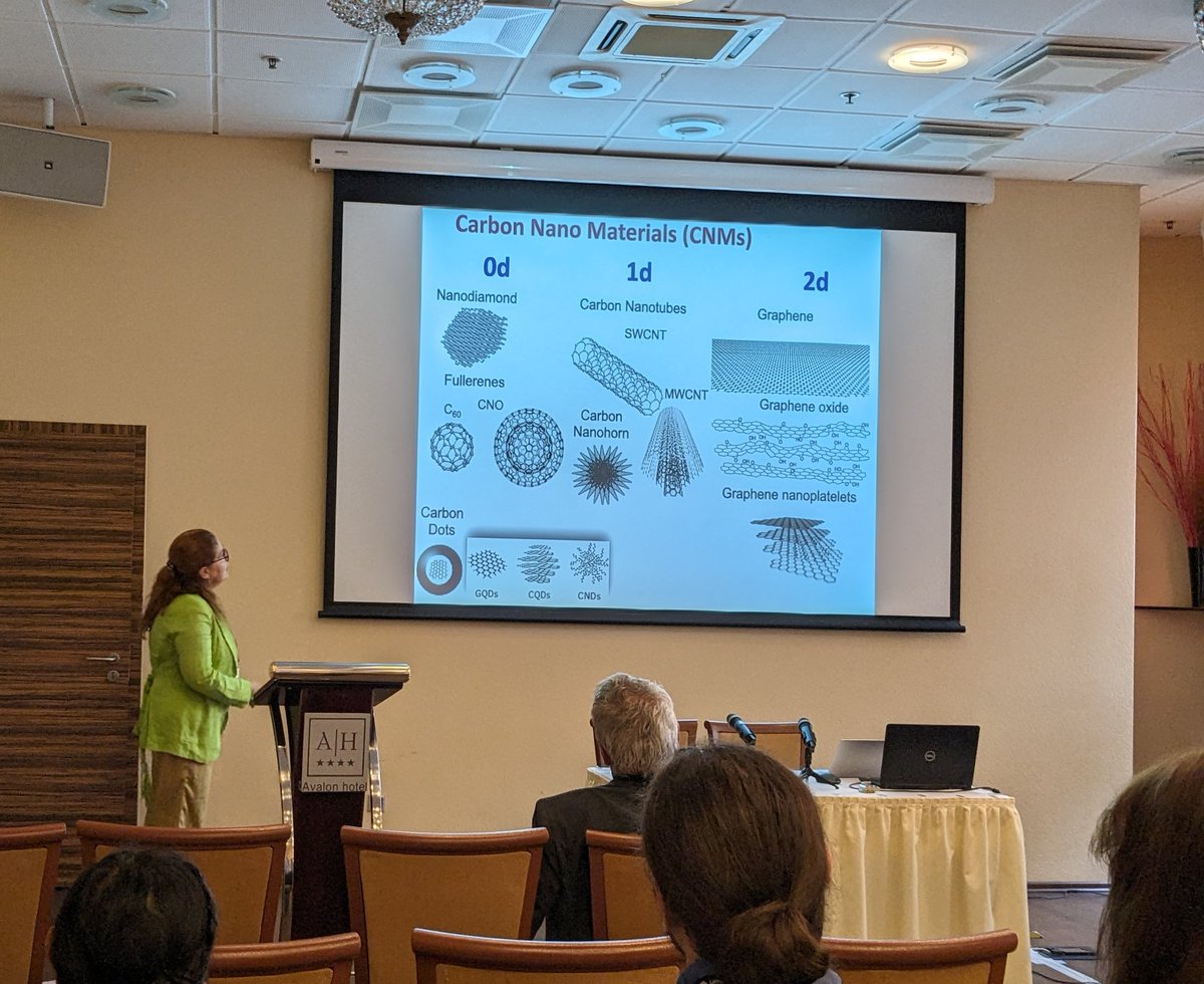 Full professor at Dublin City University, Silvia Giordani <a href="/giordanisilvia/">Silvia Giordani</a> is presenting at the #BioDrug Conference right now 👏🏼 <a href="/osi_lv/">Latvian Institute of Organic Synthesis</a>