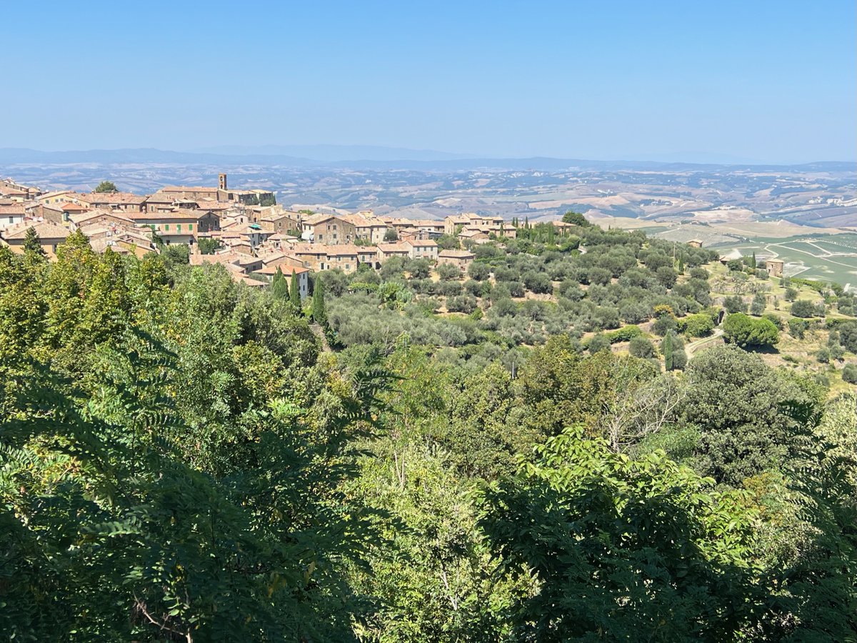 In Montalcino : My report from late August, heading into harvest 2023, over on Wine Anorak ⛈️☀️🍇🤞🇮🇹

wineanorak.com/2023/09/18/in-…