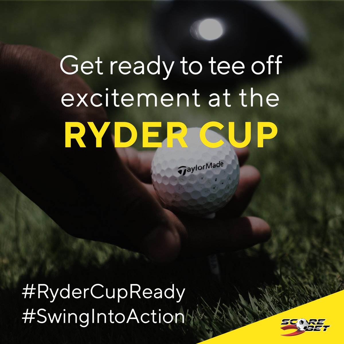 ScoreBetOnline's tweet image. Starting September 29th, the Ryder Cup 2023 unites Europe and the USA for a golfing event like no other. ⛳

Bet now! 👉 sport.scorebet.co.za/page/welcome

T’s &amp;amp; C’s Apply. 18+ Only.

#ryderscup #ryderscup2023 #golf #dpworld #ryderscupcountdown #teamEurope #teamUSA #scorebet #betnow