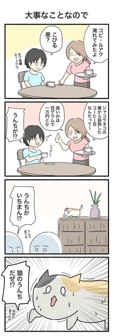 たけえコーヒー淹れてみたよ!
#4コマ #4コマ漫画 