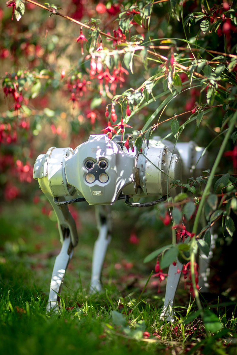 Sustainable Earth Institute tweet media