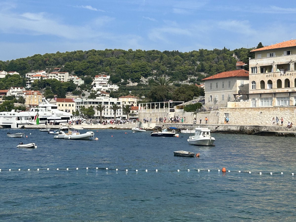 Practice Development tweet media