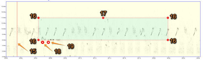 User guide for the new sound player is available here: help.biolovision.net/Sound_player