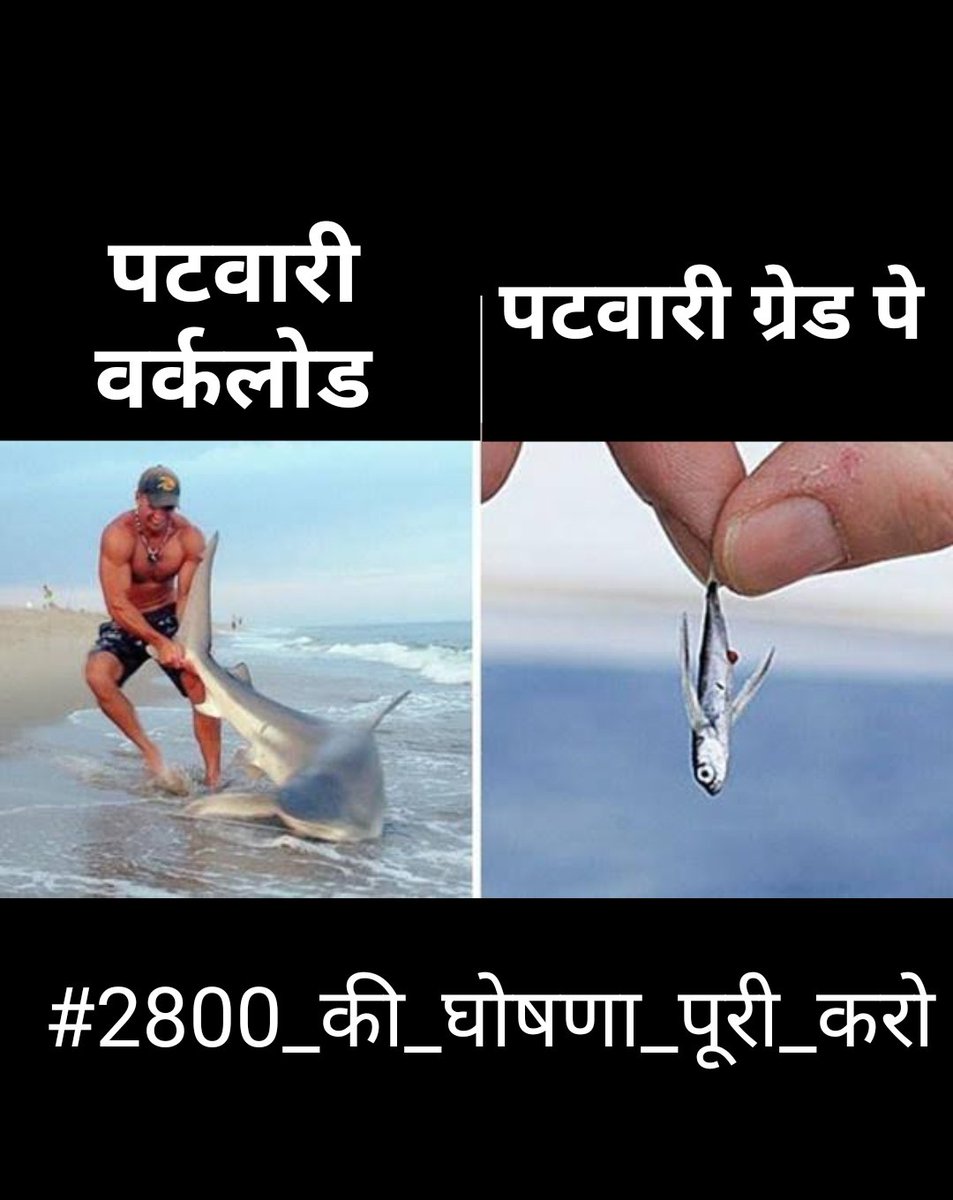 #2800gradepay

#2800की_घोषणा_पूरी_करो

पटवारी की हड़ताल किसान परेशान एम पी सरकार बेईमान।
<a href="/aajtak/">AajTak</a> 
<a href="/CMMadhyaPradesh/">Chief Minister, MP</a> 
<a href="/ZeeMPCG/">Zee MP-Chhattisgarh</a>