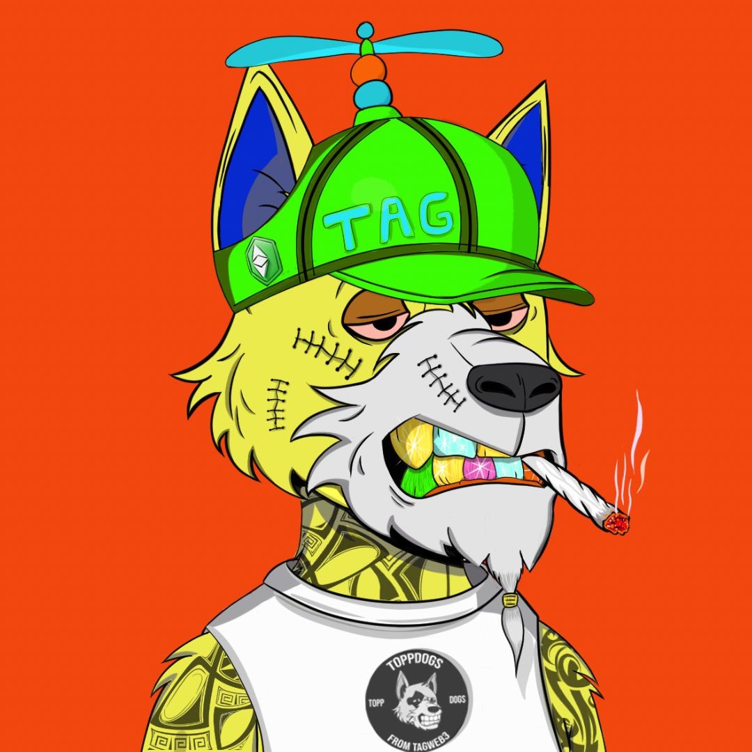 Yellow 🦍 tweet media