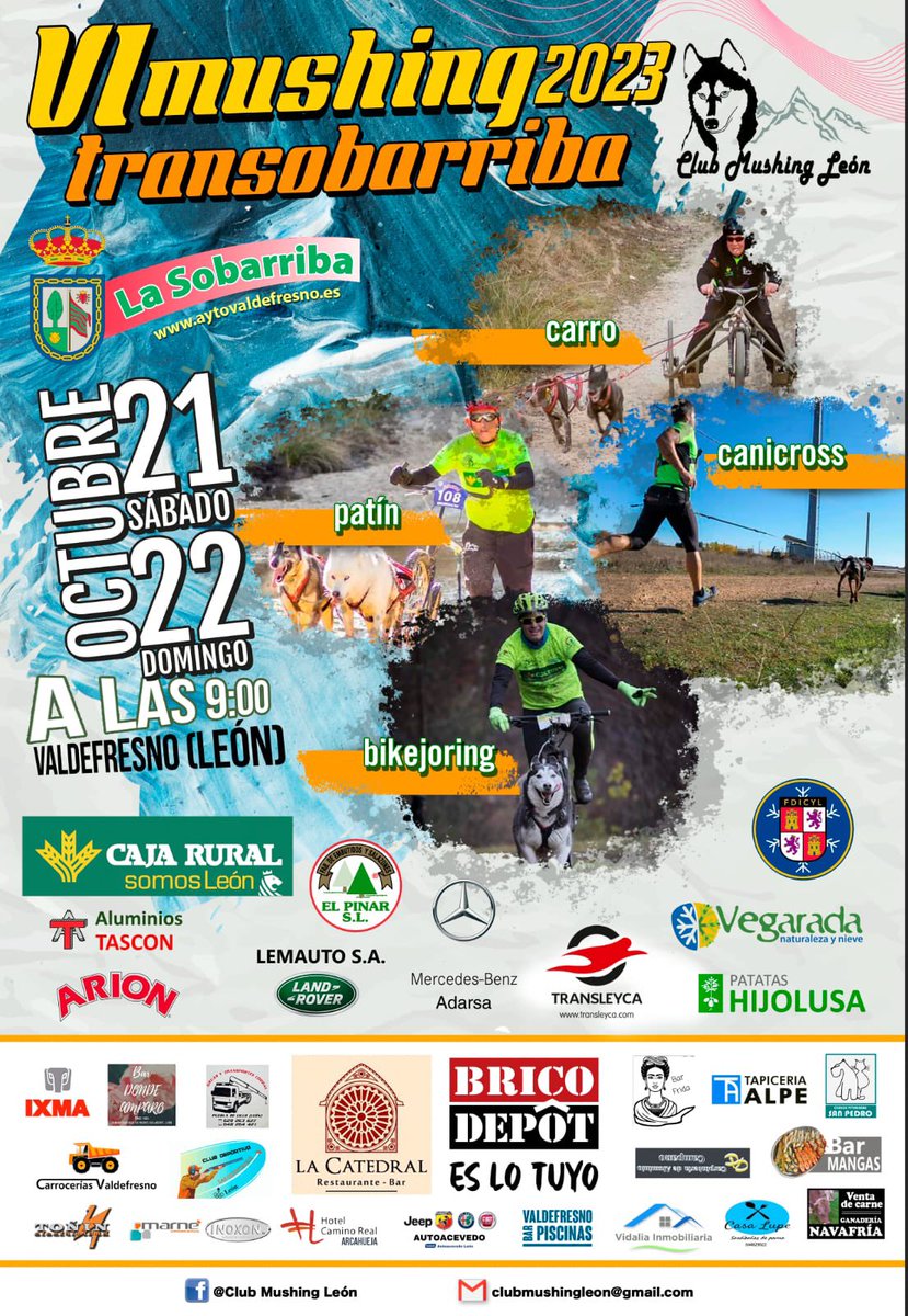 ‼️VI Mushing Transobarriba 2023‼️
👉🏻 Los próximos 21 y 22 de octubre, organizada por el Club Mushing León, vuelve la carrera Open más esperada para carros, patín, canicross y bikejoring junto a la ciudad de León. 🦁

✅ ¡No te la pierdas! 🐕🛷

@Deportesjcyl @afedecyl #teamCyL