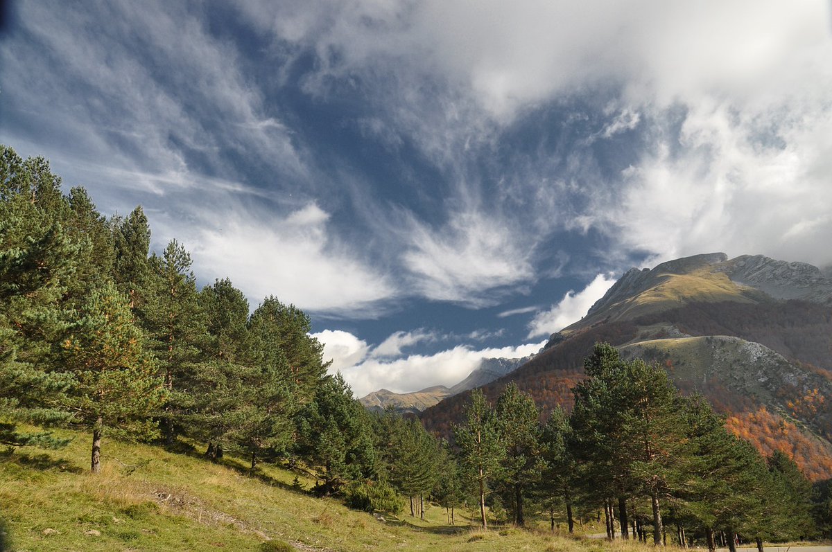 ForetsEnVie's tweet photo. ALTITUDE - Petit coup de projecteur aujourd'hui sur l'initiative de Forêts Préservées, qui lance sa collecte pour finaliser l'acquisition de trois forêts dans les Pyrénées. 📷📷
Pour leur donner un coup de pouce, rendez-vous sur :  https://t.co/vu7OeIU0To...
"Bon astre" ! https://t.co/99CcCqwQpq