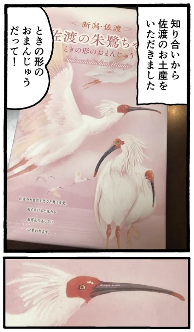 ときの形のおまんじゅう1/2