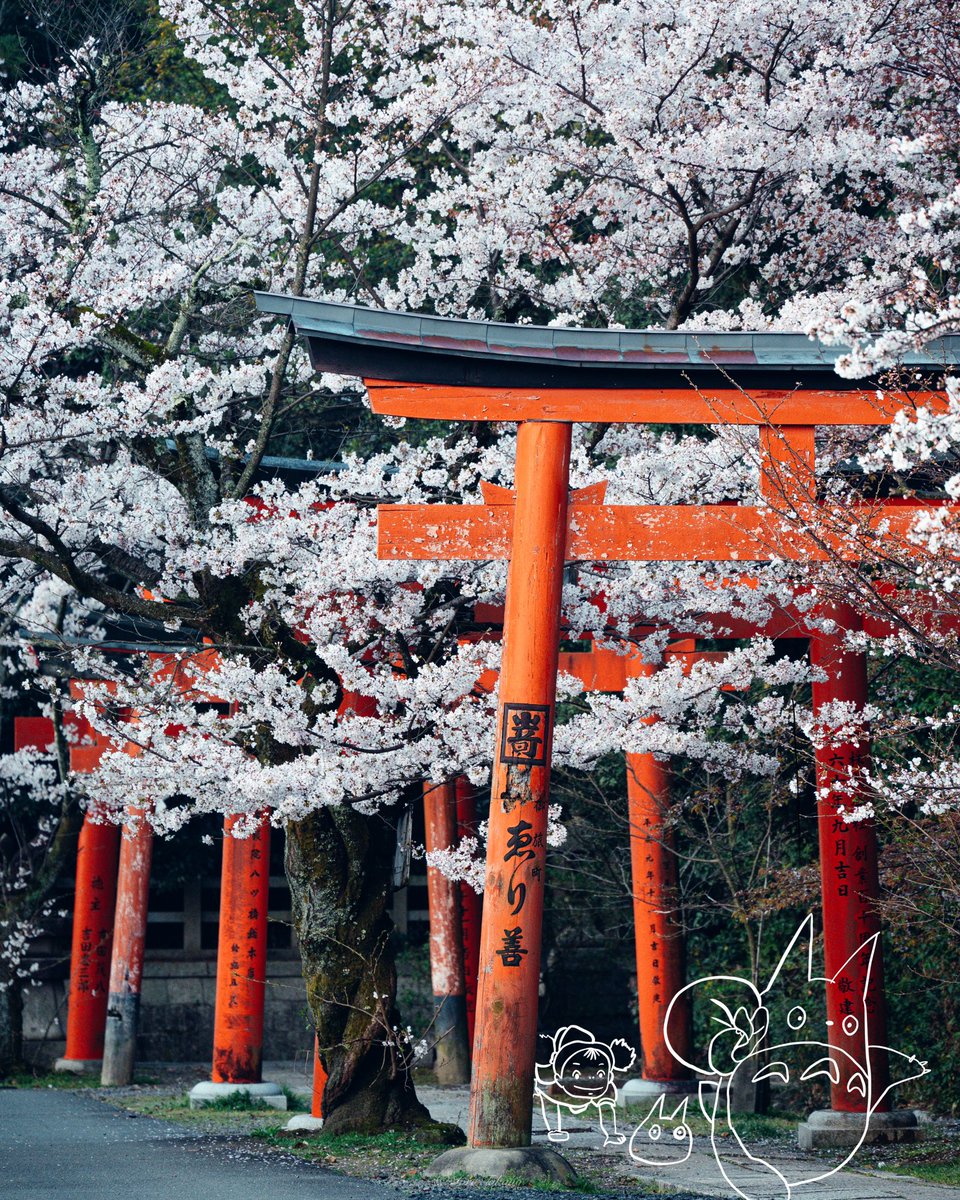 友達が写真に書いてくれたトトロが可愛すぎた件。