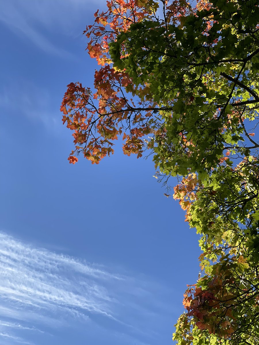 Yesterday was Beautiful ♥️