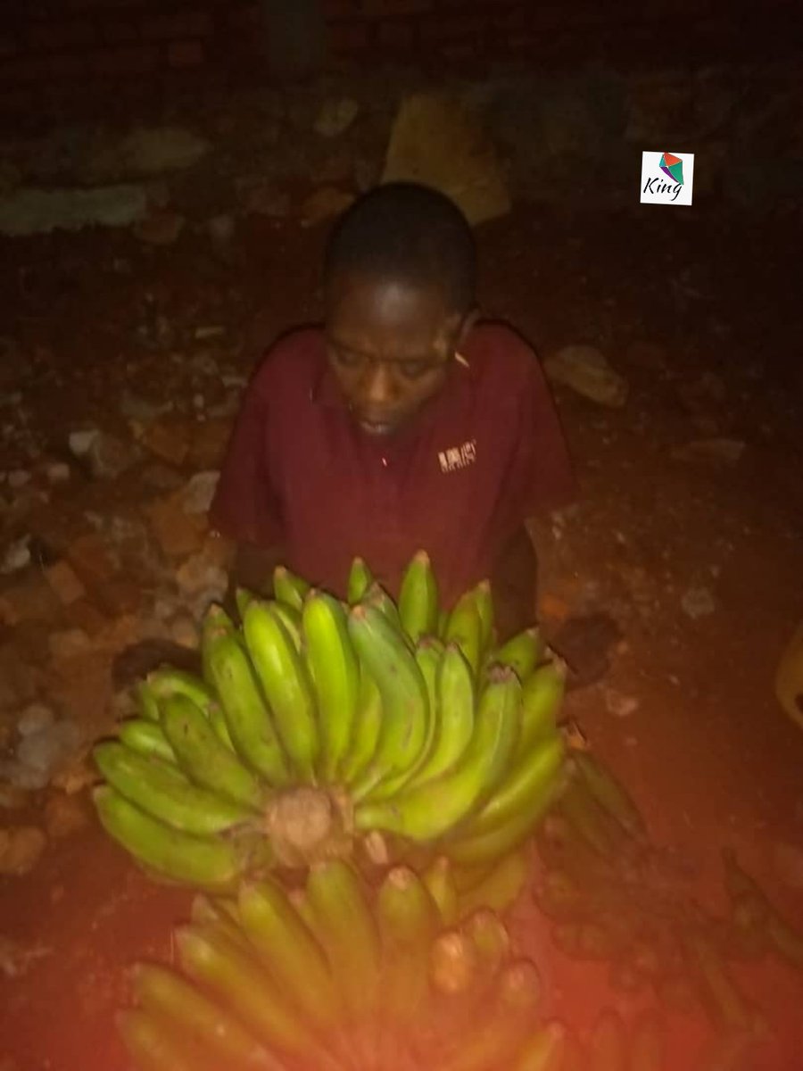 KUF_ASBL's tweet photo. 4.Bidatevye na gato,wa munyagihugu yaciye yitaba Imana.Ubwonyene abanyororo baca baja kumuhamba atan'umwe mub'iwabo ahashitse.
Ejo nyene,igipolisi caciye gihagarika ya mbonerakure #YAMAMI.
Ariko umukuru w'imbonerakure akaba w'umukuru wa @CnddFdd_CommuneNgozi haciye aza kumurekuza https://t.co/VjZKjVcZS3