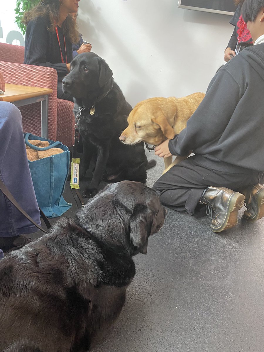 Well-being dogs have arrived! Come say hello to our furry friends!

#TEDxUniversityofLeeds #UniversityofLeeds
#fyp #unmuted #TEDx #ideasworthspreading #Leeds #TEDtalk
